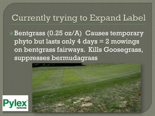 Bermudagrass_Kyllinga_Dallisgrass_Golf