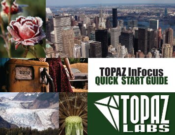 Topaz InFocus Quick Start Guide - Topaz Labs