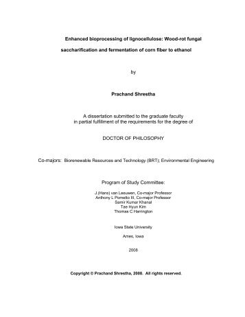E Prachand Shrestha PhD Thesis 2008.pdf - Digital Repository of ...