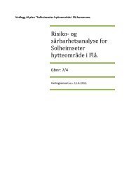 Risiko- og sÃƒÂ¥rbarhetsanalyse for Solheimseter ... - FlÃƒÂ¥ kommune