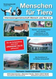 Jahresheft 2013 Satz - Tierheim OstermÃ¼nchen