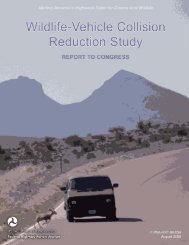 Wildlife-Vehicle Collision Reduction Study: Report to Congress