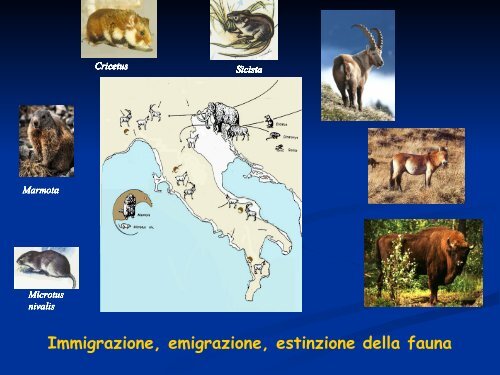 formato PDF - Parco di Montevecchia e della Valle del Curone