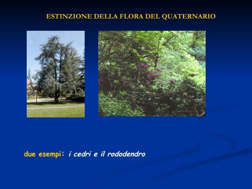 formato PDF - Parco di Montevecchia e della Valle del Curone