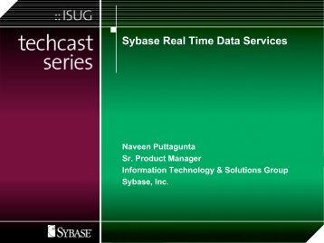 Sybase Real Time Data Services