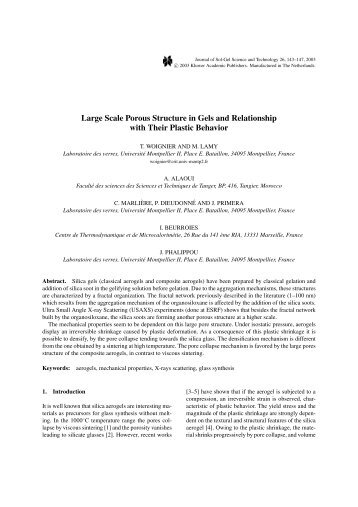 Large Scale Porous Structure in Gels and Relationship ... - Springer