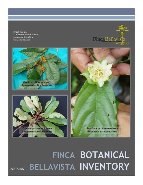 BOTANICAL INVENTORY - Finca Bellavista