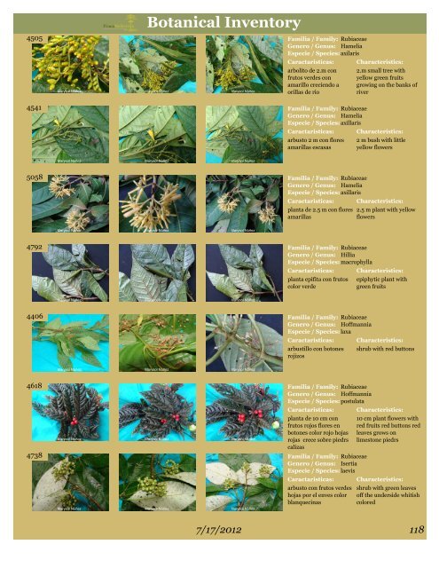 BOTANICAL INVENTORY - Finca Bellavista