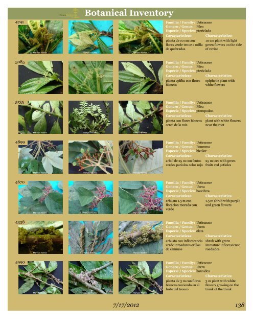 BOTANICAL INVENTORY - Finca Bellavista