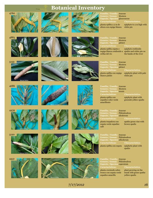 BOTANICAL INVENTORY - Finca Bellavista