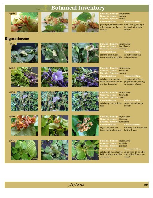 BOTANICAL INVENTORY - Finca Bellavista