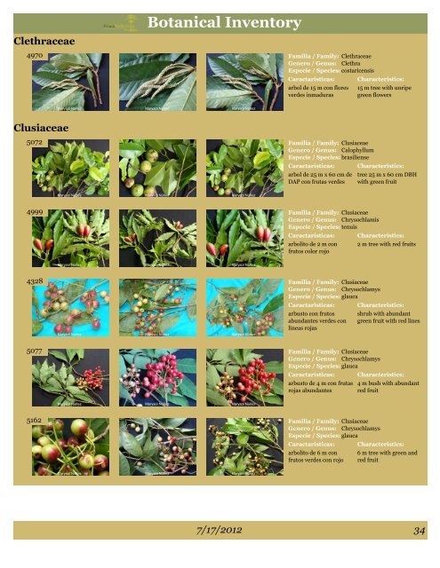 BOTANICAL INVENTORY - Finca Bellavista