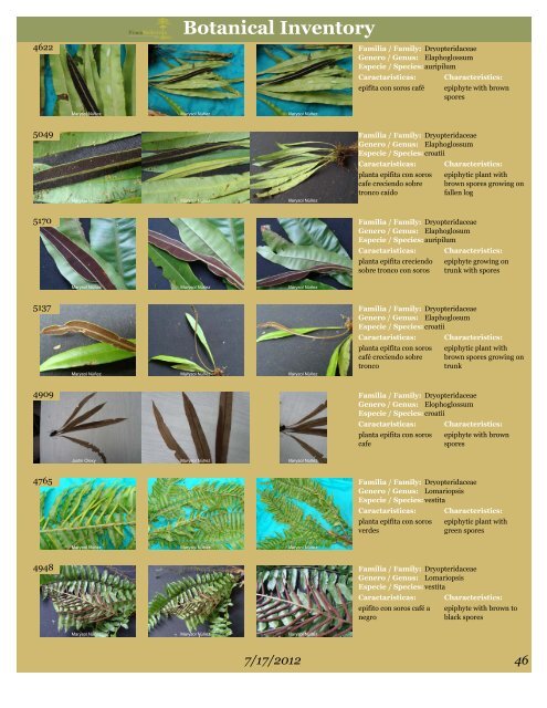 BOTANICAL INVENTORY - Finca Bellavista