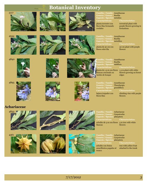 BOTANICAL INVENTORY - Finca Bellavista