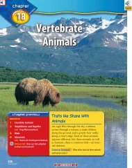 Chapter 18: Vertebrate Animals - Learning Services Home