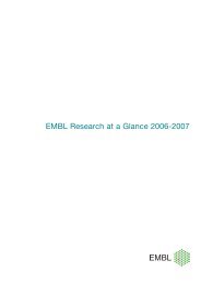 EMBL Research at a Glance 2006-2007 - EMBL Grenoble