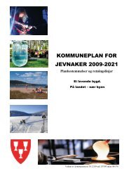 Kommuneplan Arealdel-Bestemmelser (pdf) - Jevnaker kommune
