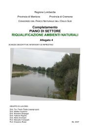 Schede descrittive interventi di ripristino (pdf, 1,72 ... - Parco Oglio Sud