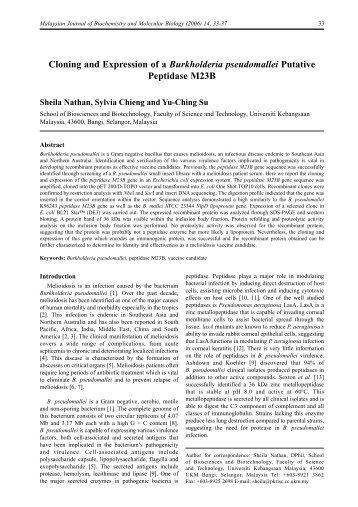 Cloning and Expression of a Burkholderia pseudomallei ... - EJUM