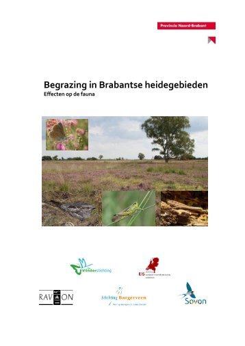 Begrazing in Brabantse heidegebieden â Effecten op de ... - Vlindernet