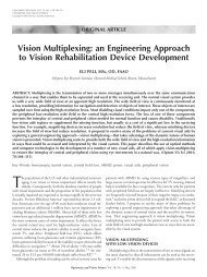 Vision Multiplexing - Schepens Eye Research Institute