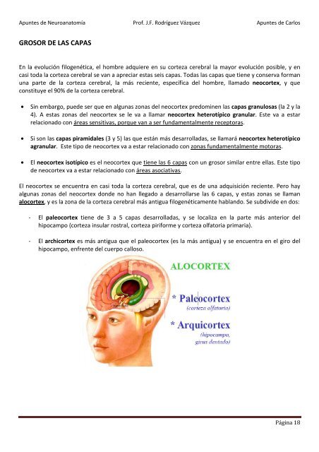 ANATOMIA SISTEMA NERVIOSO.pdf - VeoApuntes.com