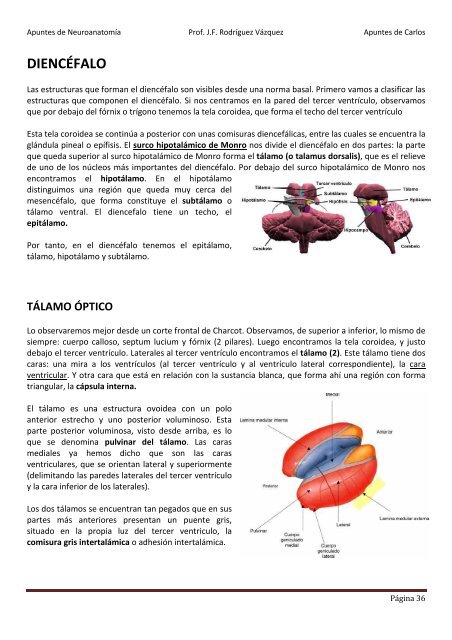 ANATOMIA SISTEMA NERVIOSO.pdf - VeoApuntes.com