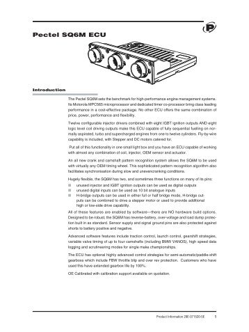 A PDF on the Pectel SQ6M - RB Racing