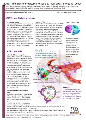 MDR1: la sensibilitÃ© mÃ©dicamenteuse des races ... - Collie-online.com