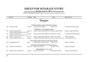 SHEEP FOR SEPARATE ENTRY Dorper