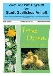 Amtsblatt Nr.6 - Stadt SÃ¼dliches Anhalt