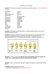 Problemas sobre TrÃ¡fego QuestÃ£o 1. Preencha os espaÃ§os em ...