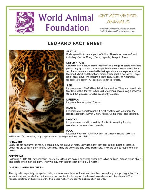 Top 169 Animal Fact Sheet Lifewithvernonhoward