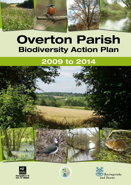 Overton Biodiversity Action Plan - Basingstoke and Deane Borough ...