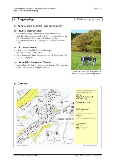 Hain 33 GÃ¤chrain, Meierskappel: Detailplanung - Kastanien