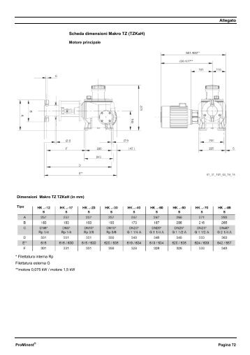 Disegno dimensionale - Makro TZ Pompe dosatrici pistone