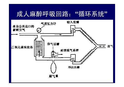 1呼吸机麻醉机
