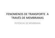 19. FENOMENOS DE TRANSPORTE