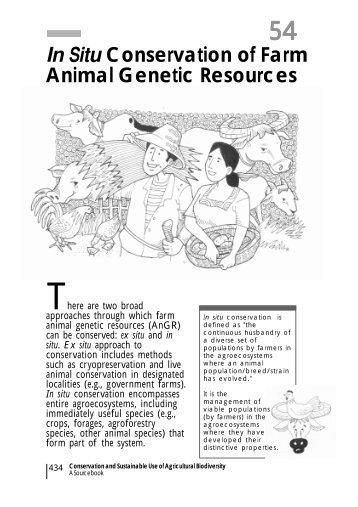 In Situ Conservation of Farm Animal Genetic Resources - cip-eseap