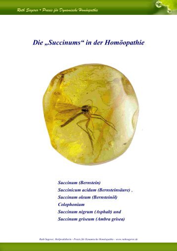 Die „Succinums“ in der Homöopathie Succinum - Ruth Sagerer