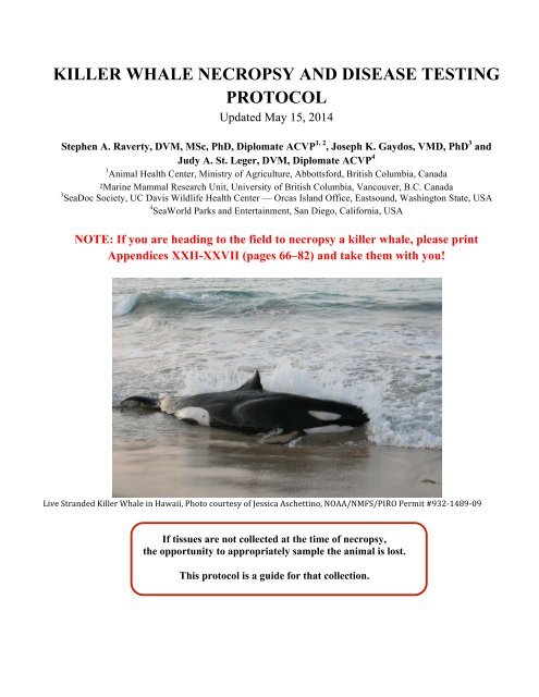 Orca-necropsy-protocol-FINAL-May-15-2014