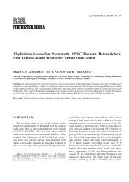 Blepharisma intermedium Padmavathi, 1959 (Ciliophora ...