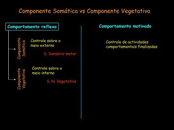 Comportamento Reflexo-Comportamento Motivado