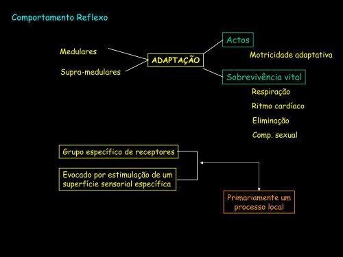 Comportamento Reflexo-Comportamento Motivado