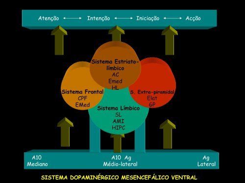 Comportamento Reflexo-Comportamento Motivado