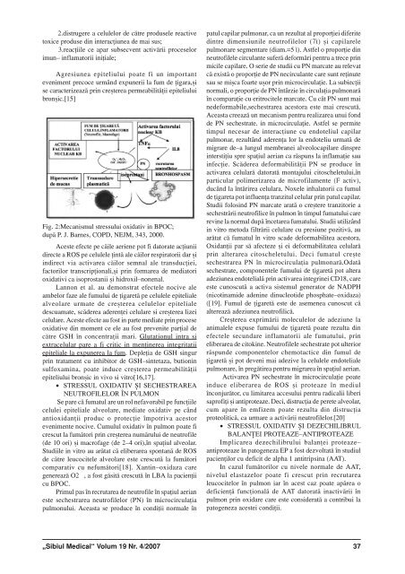 Sibiul Medical nr 4_2007.p65