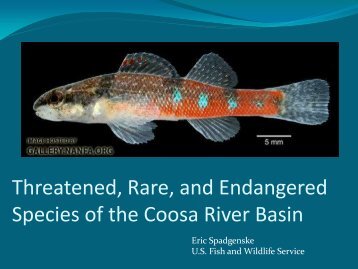 Threatened, Rare, and Endangered Species of the Coosa River Basin