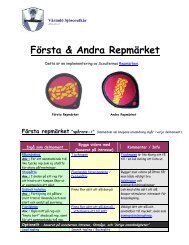 FÃ¶rsta & Andra RepmÃ¤rket - VÃ¤rmdÃ¶ sjÃ¶scoutkÃ¥r