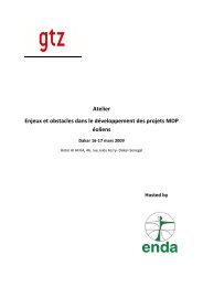 Atelier Enjeux et obstacles dans le dÃ©veloppement des projets MDP ...