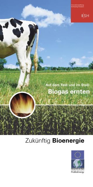 Flyer "Biogas ernten" - Biomasse in SH